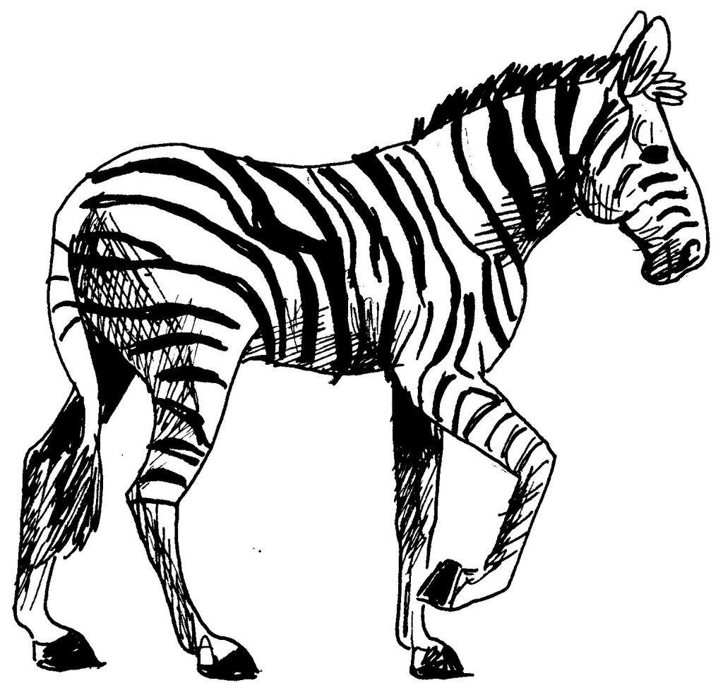 Dessin #13913 - jeux de coloriage zebre à imprimer