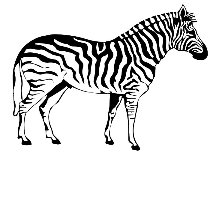 Dessin #13926 - Coloriage zebre