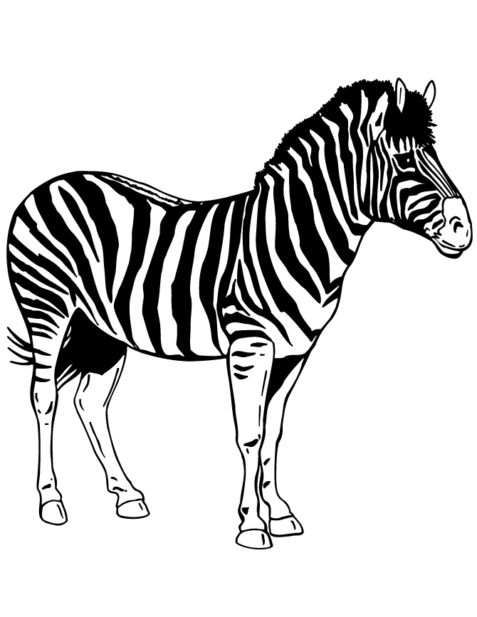 Dessin #13928 - dessin de zebre pour imprimer et colorier