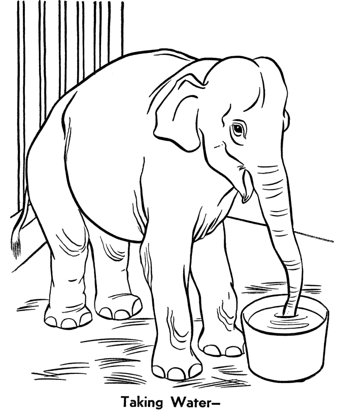 Dessin #13961 - dessin de zoo imprimer et colorier