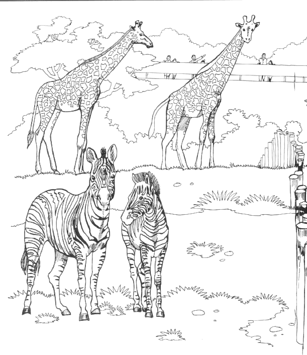 Dessin #13968 - dessin de zoo gratuit a imprimer et colorier